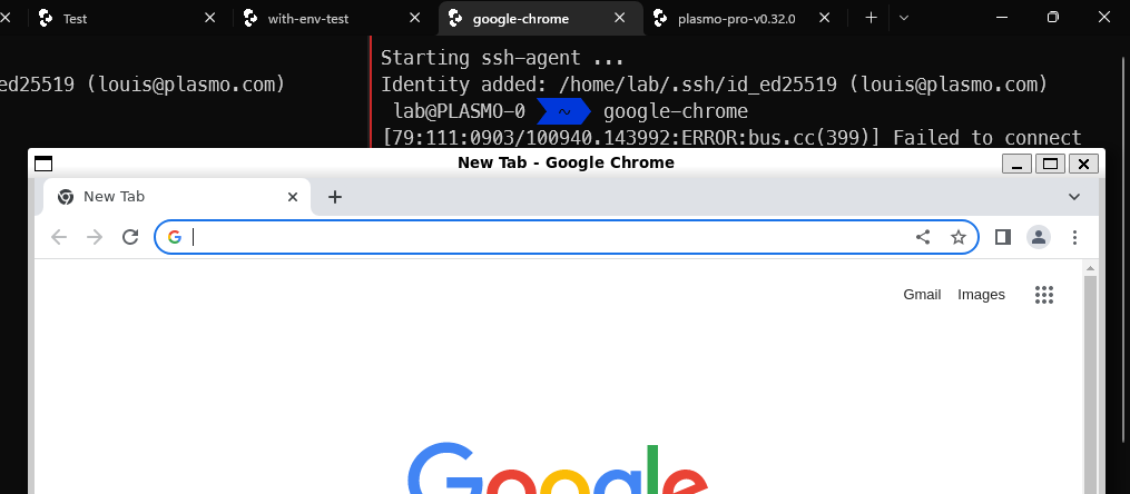 google-chrome on WSL